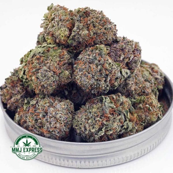 Buy Cannabis White Russian Cream AAAA at MMJ Express Online Shop