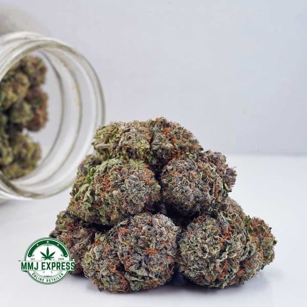 Buy Cannabis White Russian Cream AAAA at MMJ Express Online Shop