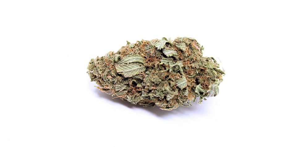 Gorilla Glue #4 value buds from MMJ express weed dispensary for mail order marijuana in Canada. Buy online weeds. dispensary.