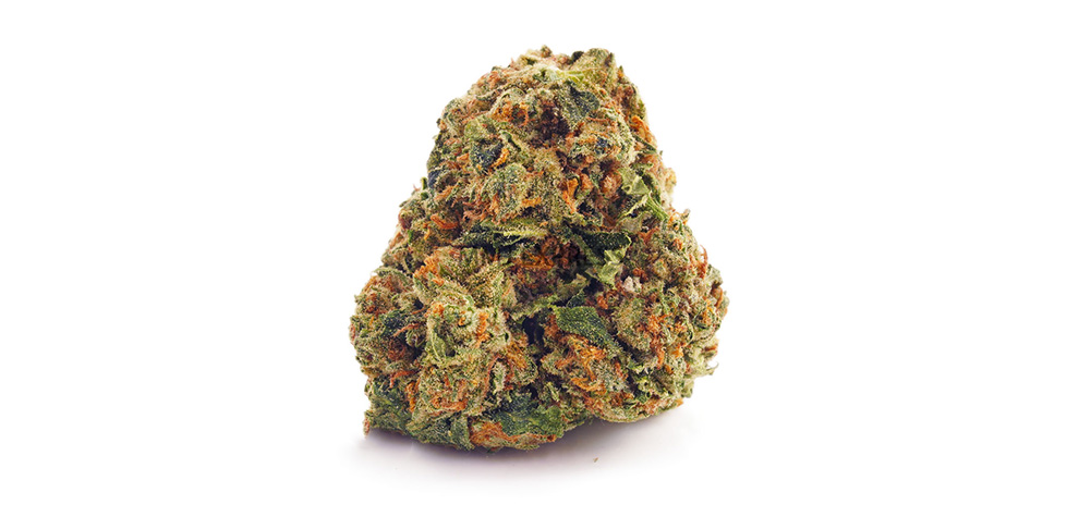 Juicy Fruit budget buds from BC cannabis pot shop and online dispensary Canada MMJ Express. Buy online weeds. mail order marijauna. cheapweed.