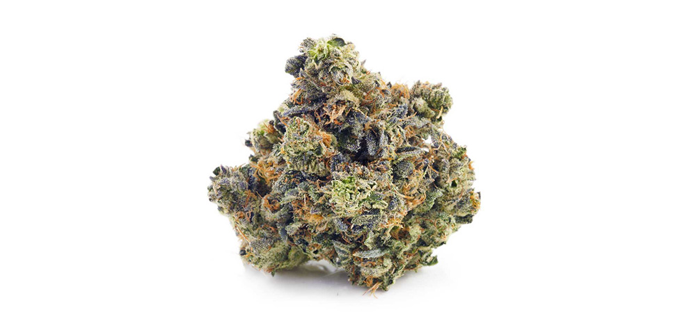Buy weed Wedding Cake budget buds from online dispensary Canada MMJ Express BC cannabis pot shop and weed store.