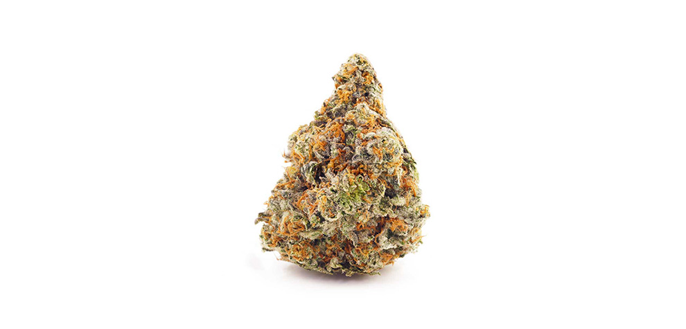 Grapefruit Diesel value buds couch lock Indica weed online Canada from MMJ Express weed dispensary. marijuana dispensary. cannabis canada. weeds online. 