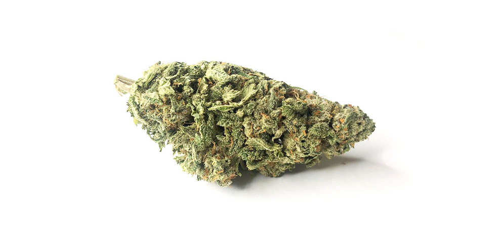 Nuken Weed Strain budget buds and cheapweed from MMJ Express online dispensary in Canada. Buy online weeds. dispensary for BC cannabis.