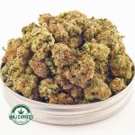 Buy Cannabis Blueberry Runtz AA (Popcorn) at MMJ Express Online Shop