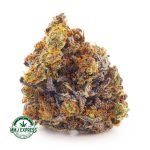Buy Cannabis Ice Bomb AAAA at MMJ Express Online Shop