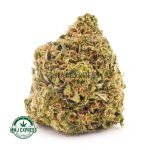 Buy Cannabis Island Super Skunk AAA at MMJ Express Online Shop