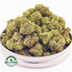 Buy Cannabis Rockstar Bubba Kush AAAA (Popcorn Nugs) at MMJ Express Online Shop