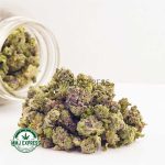 Buy Cannabis Rockstar AA (Popcorn Nugs) at MMJ Express Online Shop