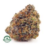 Buy Cannabis Purple Gas AAAA at MMJ Express Online Shop