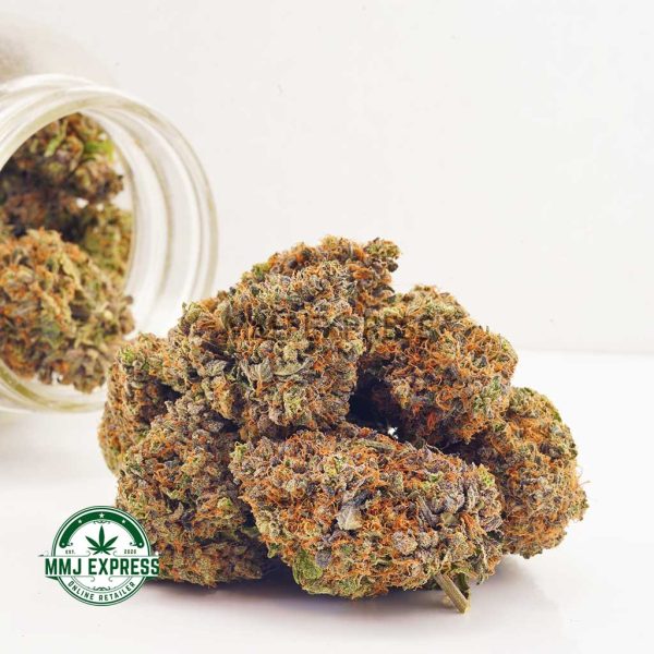 Buy Cannabis Purple Gas AAAA at MMJ Express Online Shop