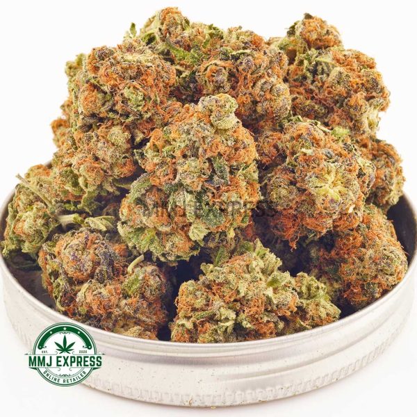 Buy Cannabis Astro Cookies AA at MMJ Express Online Shop