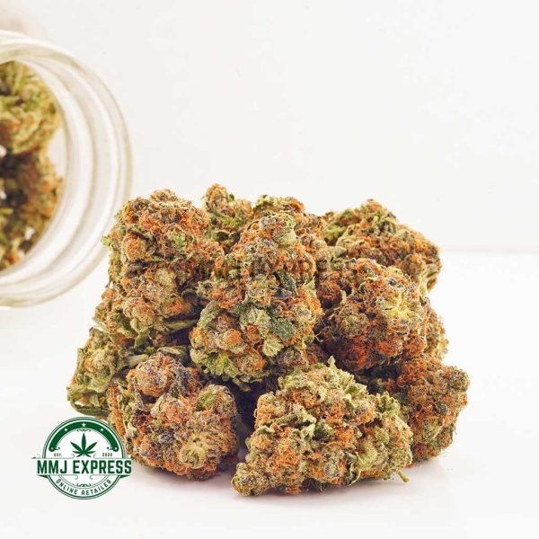 Buy Cannabis Astro Cookies AA at MMJ Express Online Shop
