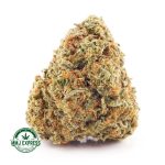 Buy Cannabis Tropical Haze AAA at MMJ Express Online Shop