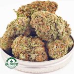 Buy Cannabis Black Nuken AAA at MMJ Express Online Shop