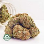 Buy Cannabis Black Nuken AAA at MMJ Express Online Shop