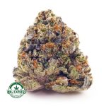 Buy Cannabis Blue Gelato AAA at MMJ Express Online Shop