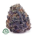 Buy Purple Dream AAAA Cannabis Online at MMJ Express