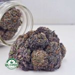 Buy Purple Dream AAAA Cannabis Online at MMJ Express