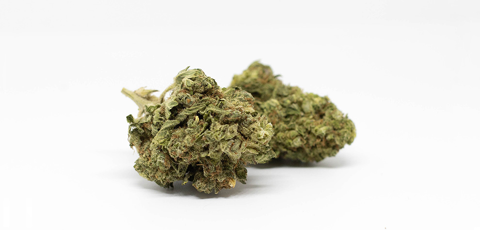 Pink Tuna strain value buds for sale online Canadian dispensary for cannabis Canada. Buy weed online. 