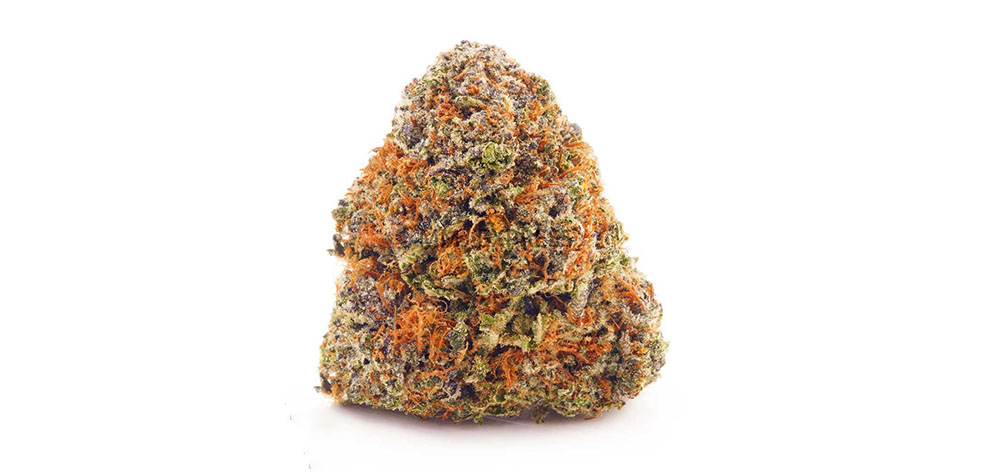Critical Kush weed online Canada from MMJ Express online dispensary Canada for mail order marijuana weed online.