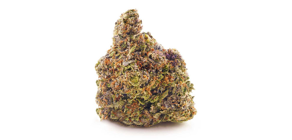 Death Master budget bud for sale online in Canada from online weed dispensary MMJ Express. Mail order marijauna dispensary weed. cannabis canada weed shop.