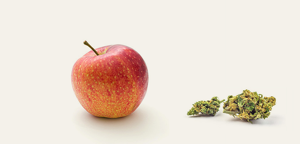 Fresh apple next to cheapweed budget buds from MMJ Express online dispensary canada for mail order marijuana.