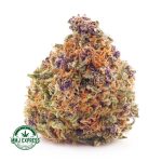 Buy Cannabis Peach Zkittlez AA at MMJ Express Online Shop