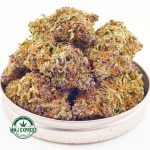 Buy Cannabis Peach Zkittlez AA at MMJ Express Online Shop