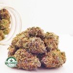 Buy Cannabis Peach Zkittlez AA at MMJ Express Online Shop