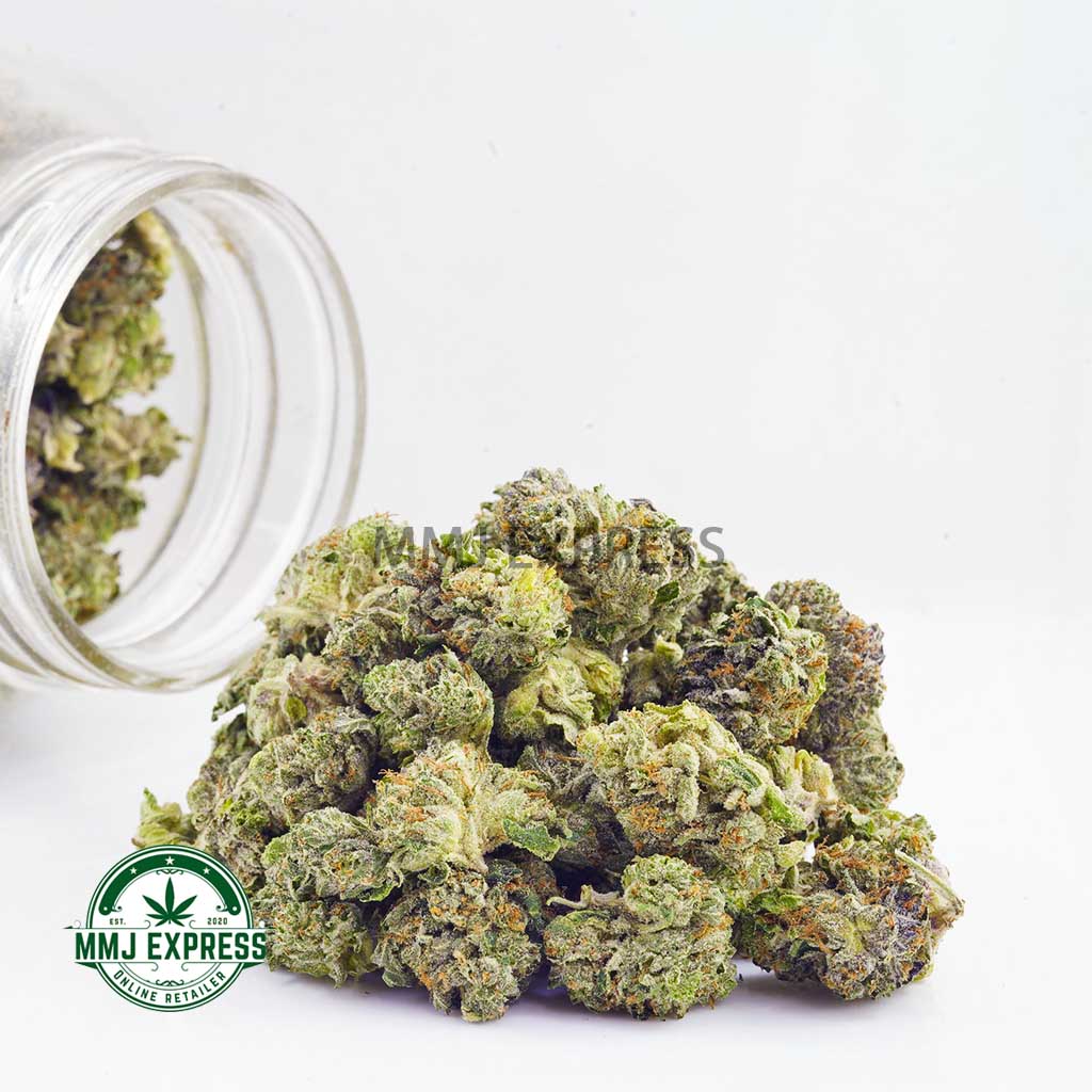 Buy Cannabis God's Gift AAAA (Popcorn Bud) at MMJ Express Online Shop