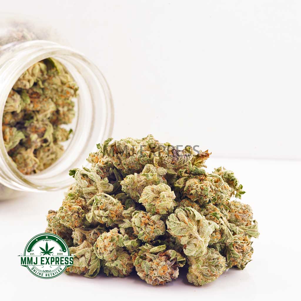 Buy Cannabis Jack Frost AAAA (Popcorn Nugs) at MMJ Express Online Shop
