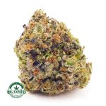 Buy Cannabis Blueberry Octane AAAA at MMJ Express Online Shop