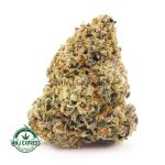 Buy Alien OG AA Cannabis at MMJ Express Online 