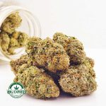 Buy Alien OG AA Cannabis at MMJ Express Online 