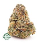Buy Cannabis Strawberry Supreme AAAA at MMJ Express Online Shop