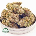 Buy Cannabis Strawberry Supreme AAAA at MMJ Express Online Shop