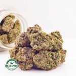 Buy Cannabis Ghost OG AAAA at MMJ Express Online Shop