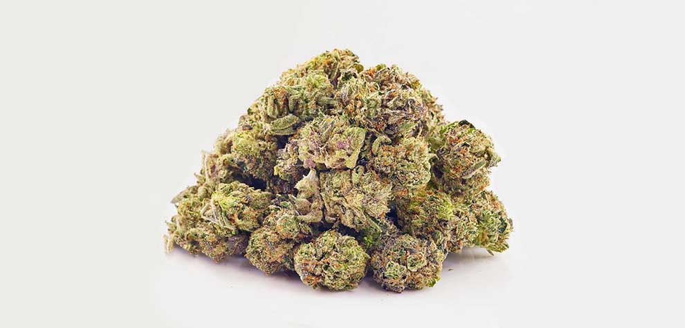 Dawgfather OG weed online Canada for sale from MMJ Express online dispensary Canada. Buy weed online.