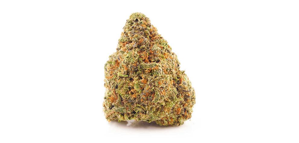 Durban Poison weed online Canada is one of the best marijuana strains for daytime use. Buy weed online from weed dispensary MMJ Express BC cannabis.