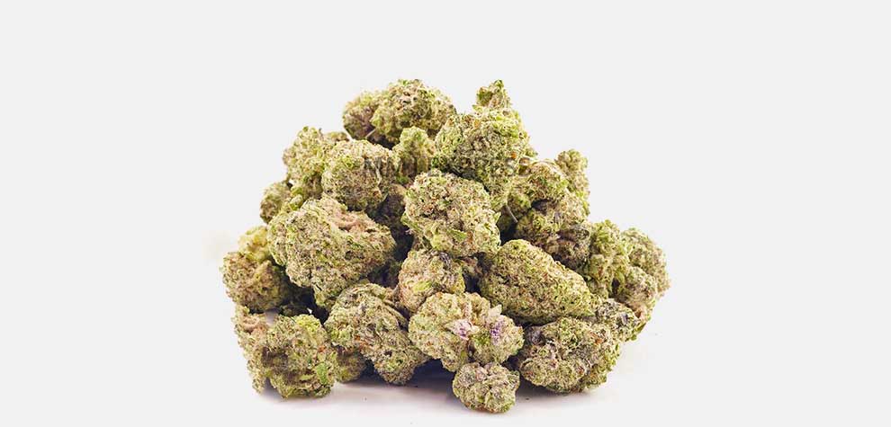 God’s Green Crack weed online Canada. Buy hybrid strains, shatter, edibles, and cannabis concentrates at Low Price Bud online dispensary.