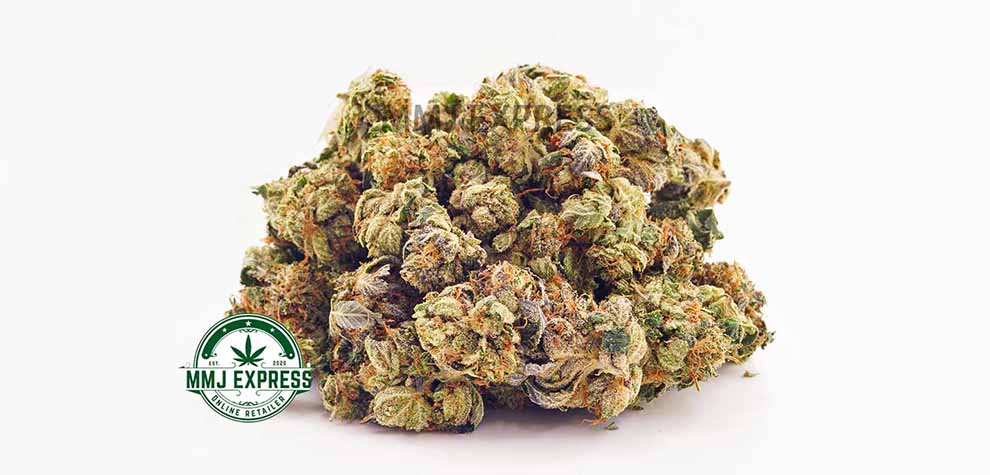 Pink Champagne budget buds from MMJ express mail order marijuana weed store and online dispensary to buy weed online.