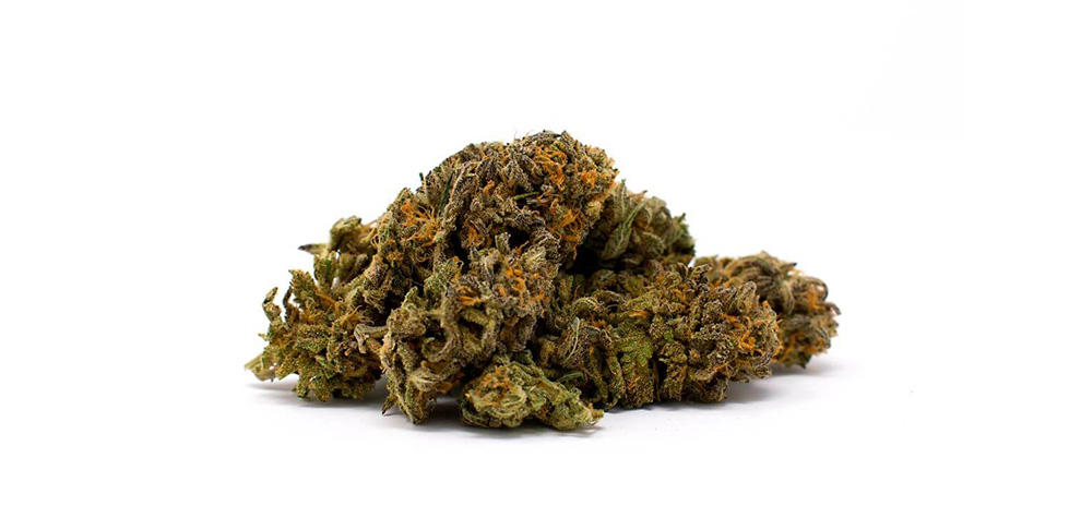 Pineapple Express strain budget bud from BC cannabis weed store and online dispensary Low Price Bud. Order weed online. buymyweedonline. buy weed.