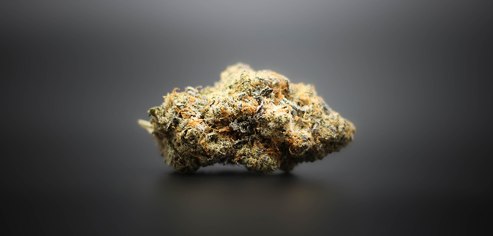 Lemon Kush strain budget buds and cheap canna at MMJ Express online dispensary to buy weed online Canada. Mail order marijuana dispensary weed from BC.