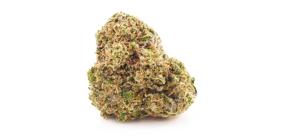 Island Sweet Skunk budget buds for sale at MMJ Express online dispensary Canada for mail order marijuana. Cannabis Canada.