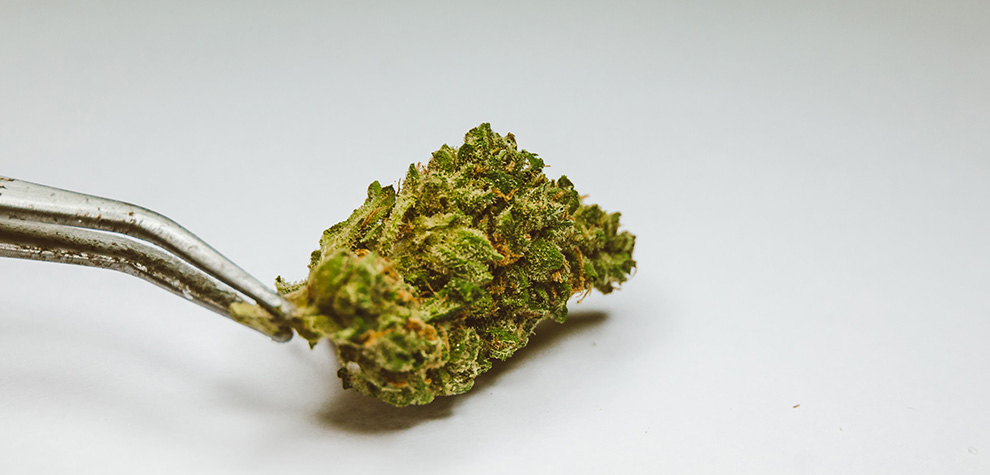 Vanilla Ice Strain BC buds online from budget bud online dispensary MMJ Express mail order marijuana weed store.