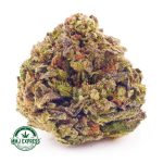Buy Cannabis Georgia Pie AA at MMJ Express Online Shop