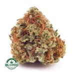 Buy Cannabis OG Shark AA at MMJ Express Online Shop