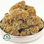 Buy Cannabis Cookies & Cream AA at MMJ Express Online Shop