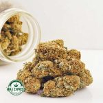 Buy Cannabis Cookies & Cream AA at MMJ Express Online Shop