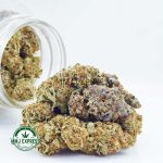 Buy Cannabis Pink Picasso AA at MMJ Express Online Shop